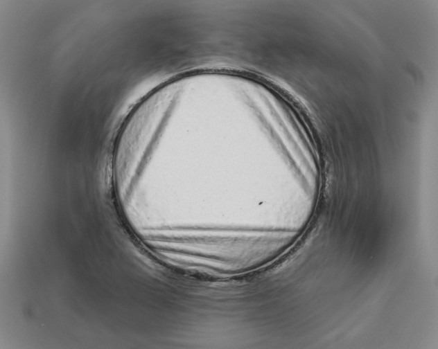 X0000113021367200909241626