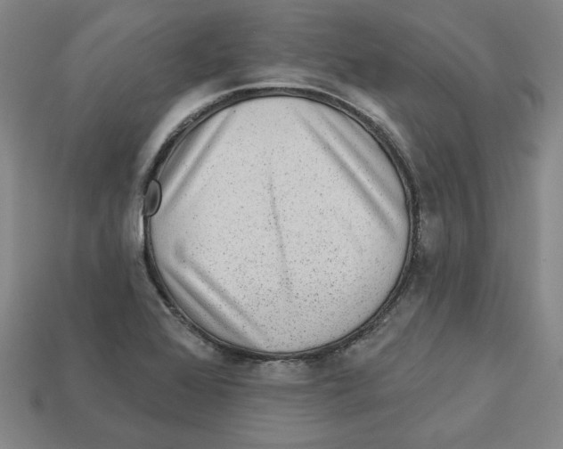 X0000113021368200909241626