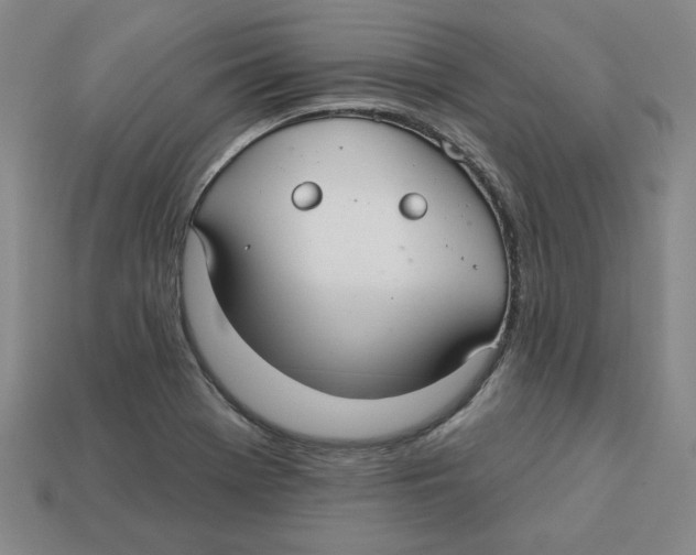 X0000113021369200909241626