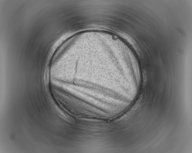 X0000113021371200909241626