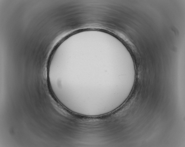 X0000113021372200909241626