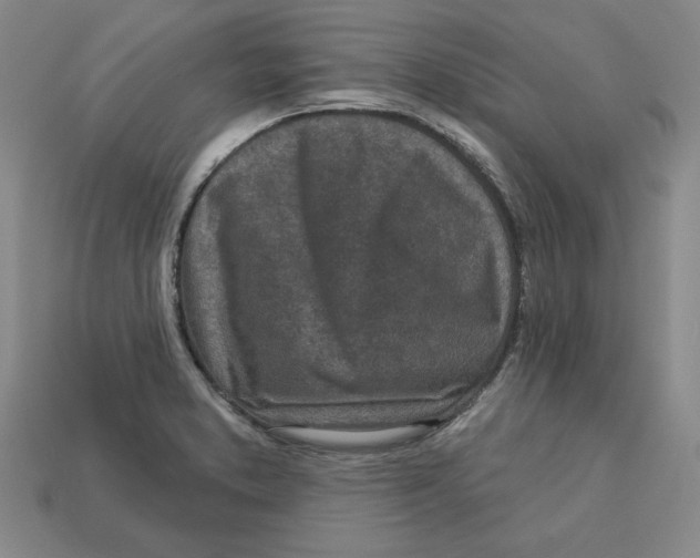 X0000113021373200909241626