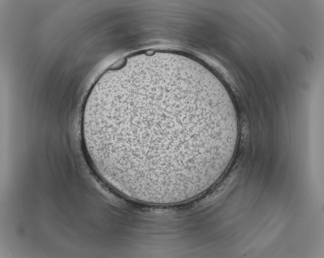 X0000113021375200909241626