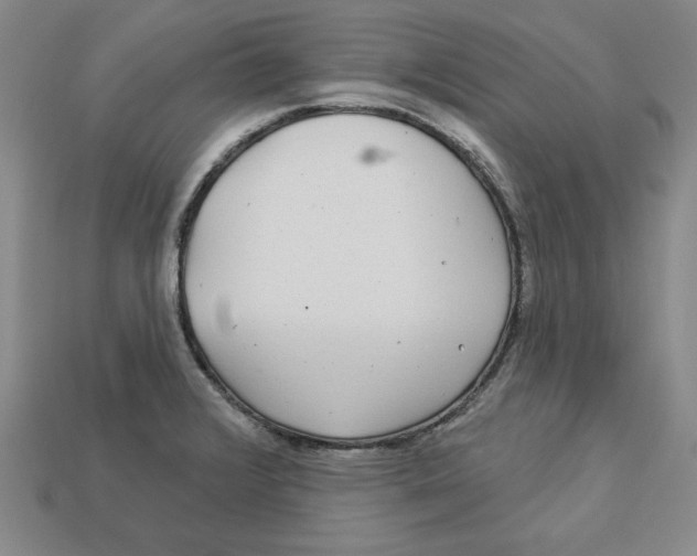 X0000113021376200909241626