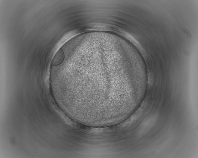 X0000113021378200909241626