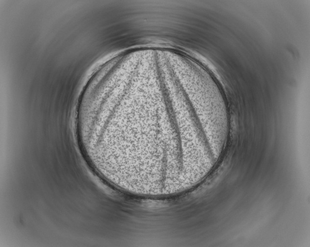 X0000113021379200909241626