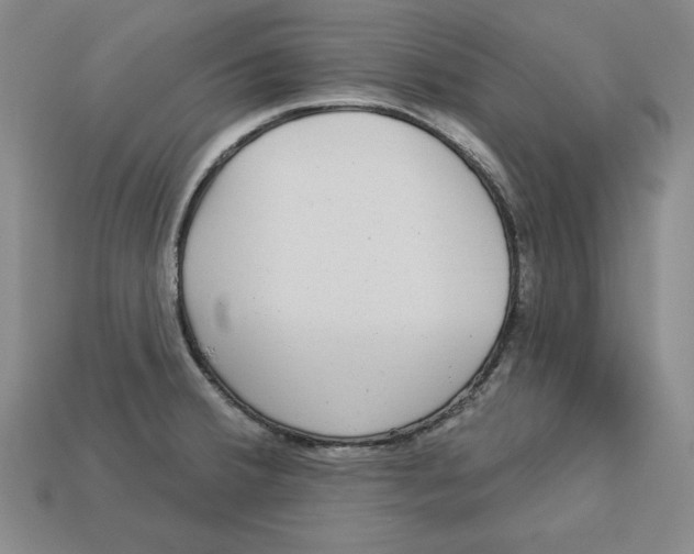 X0000113021380200909241626