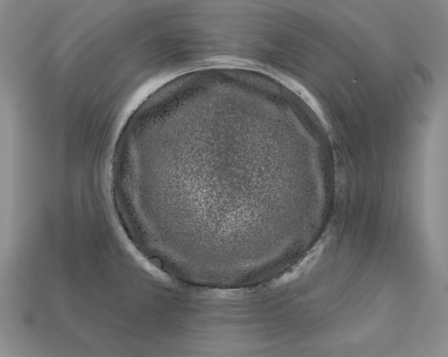 X0000113021381200909241626