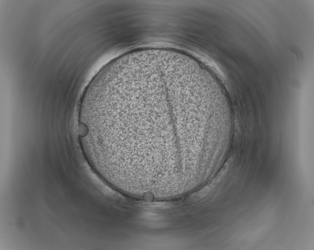 X0000113021382200909241626