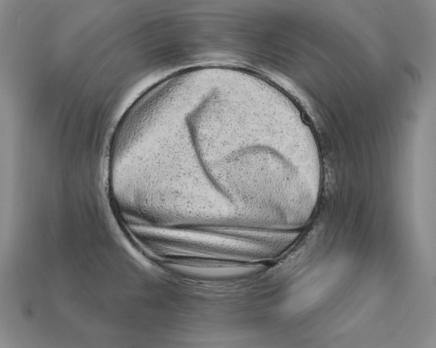 X0000113021383200909241626