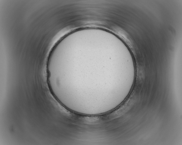 X0000113021384200909241626