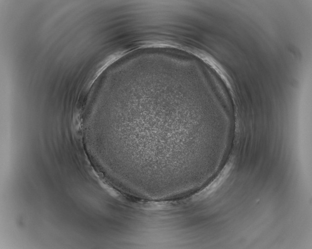 X0000113021385200909241626