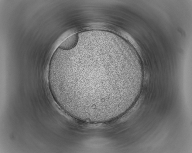 X0000113021386200909241626