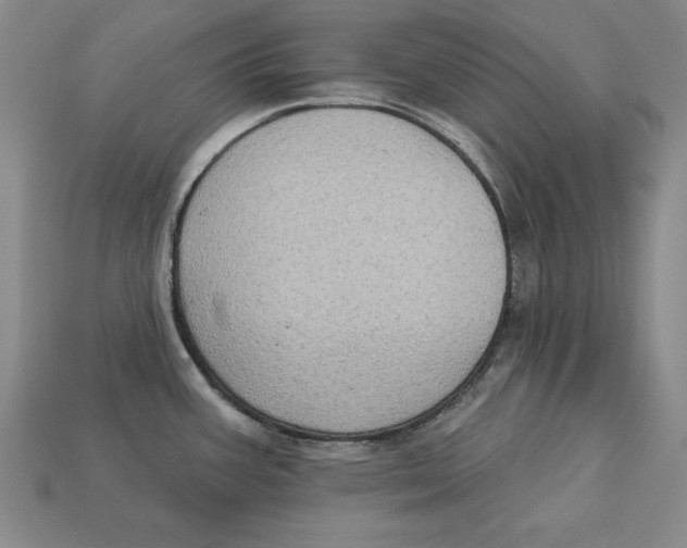 X0000113021387200909241626