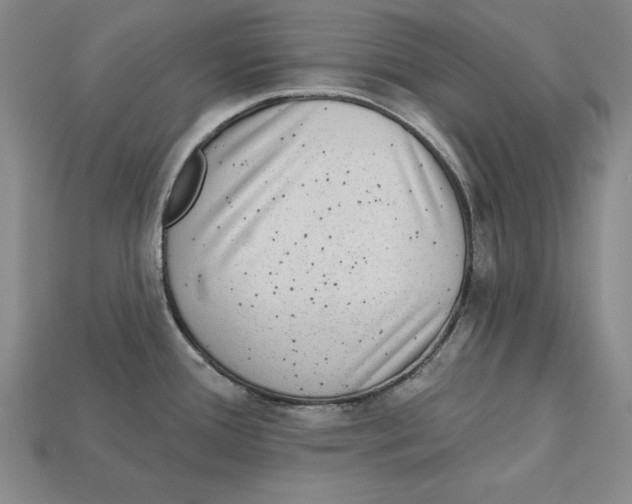 X0000113021388200909241626