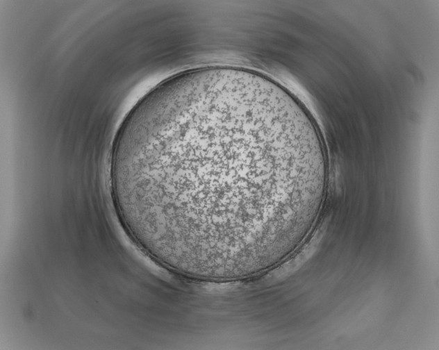 X0000113021389200909241626