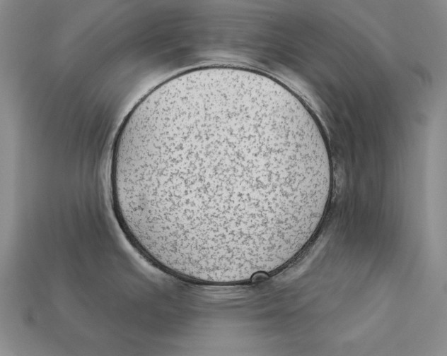 X0000113021391200909241626