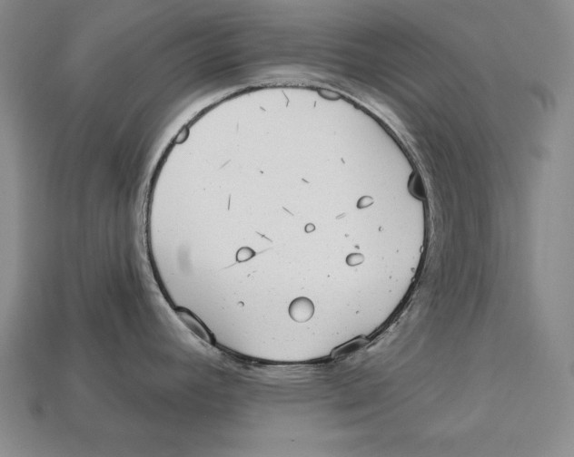 X0000113021392200909241626