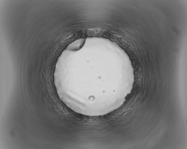 X0000113021393200909241625