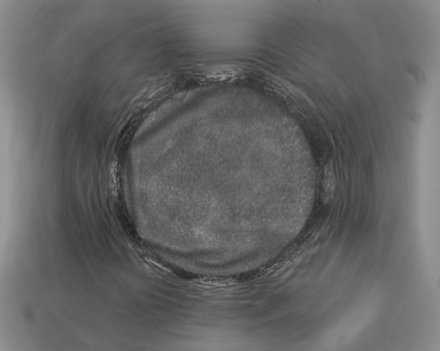 X0000113021394200909241625