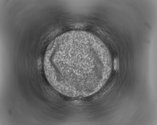 X0000113021395200909241625