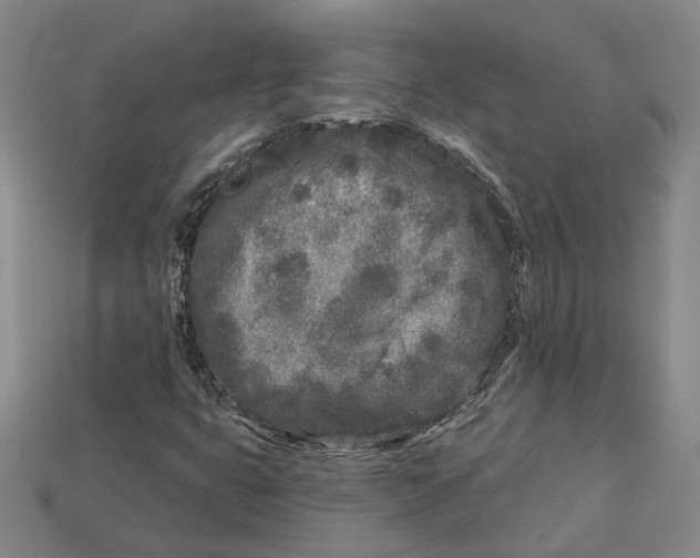 X0000113021399200909241625