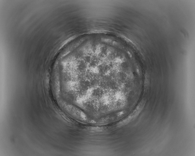 X0000113021401200909241625