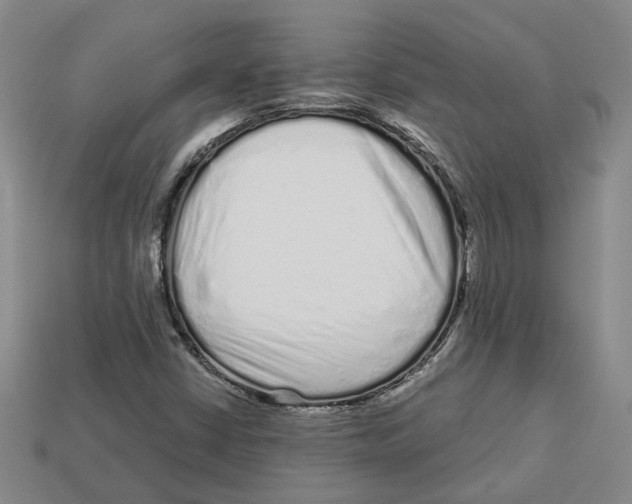 X0000113021402200909241625