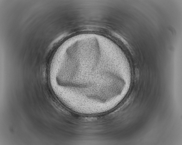 X0000113021403200909241625