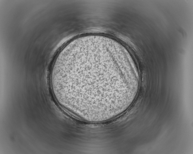 X0000113021404200909241625