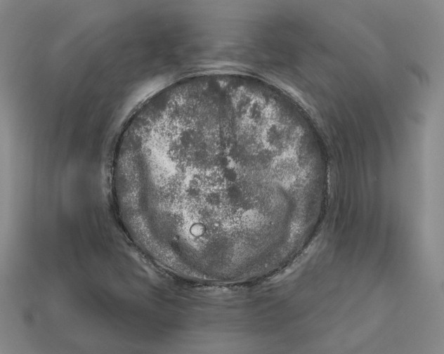 X0000113021405200909241625