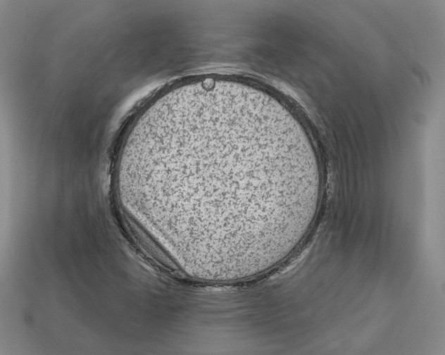 X0000113021406200909241625