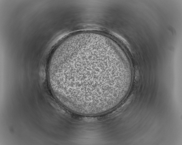 X0000113021407200909241625