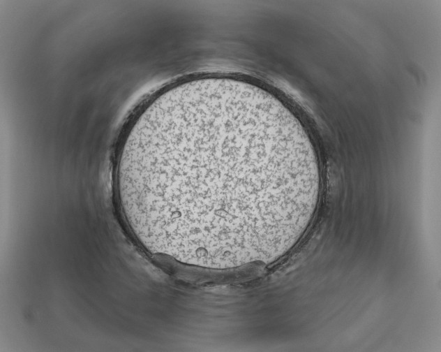 X0000113021408200909241625