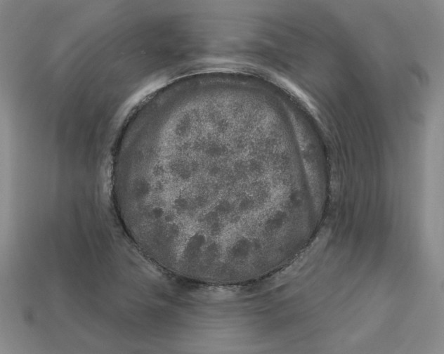 X0000113021411200909241625