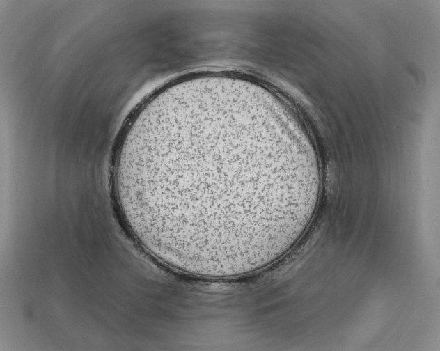 X0000113021412200909241625