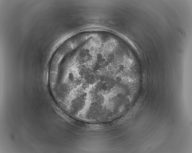 X0000113021413200909241625