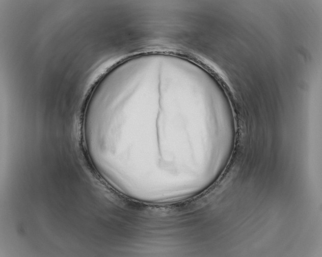 X0000113021415200909241625