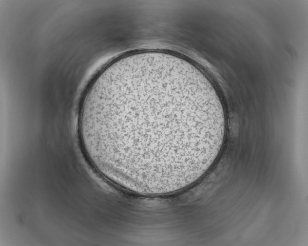 X0000113021416200909241626