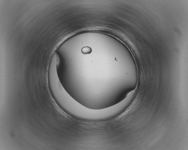 X0000113021417200909241626