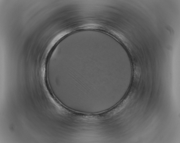 X0000113021418200909241626