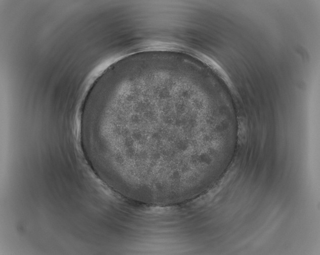 X0000113021419200909241626