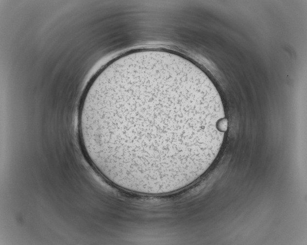 X0000113021420200909241626