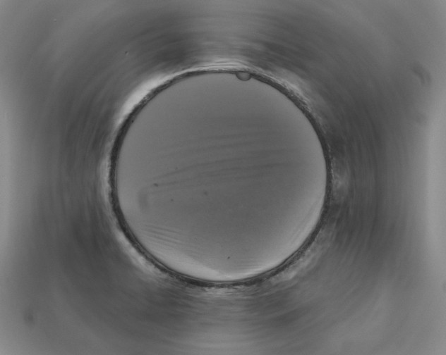 X0000113021422200909241626