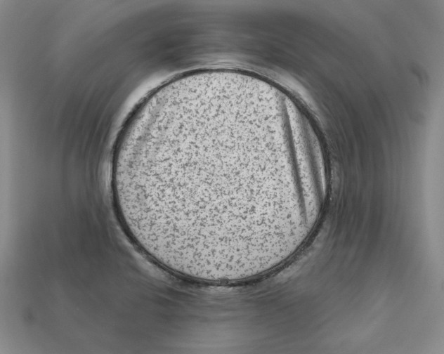 X0000113021424200909241626