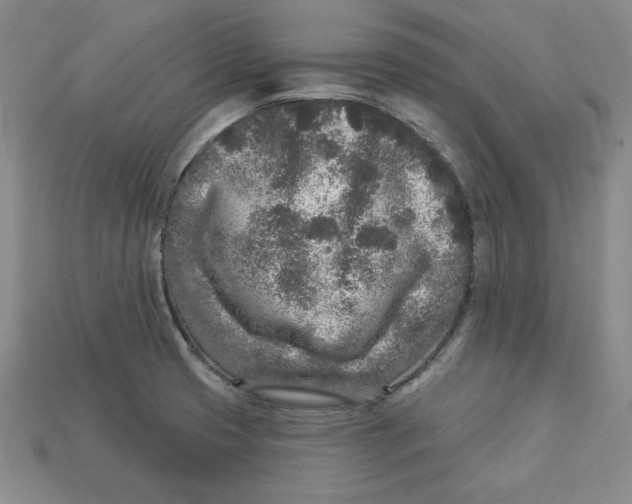 X0000113021425200909241626