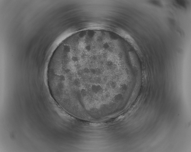 X0000113021427200909241626