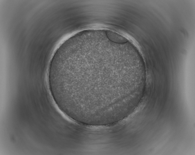 X0000113021429200909241626