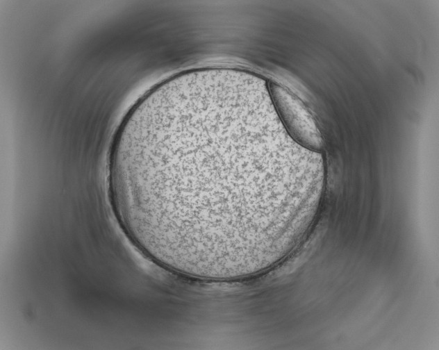 X0000113021430200909241626