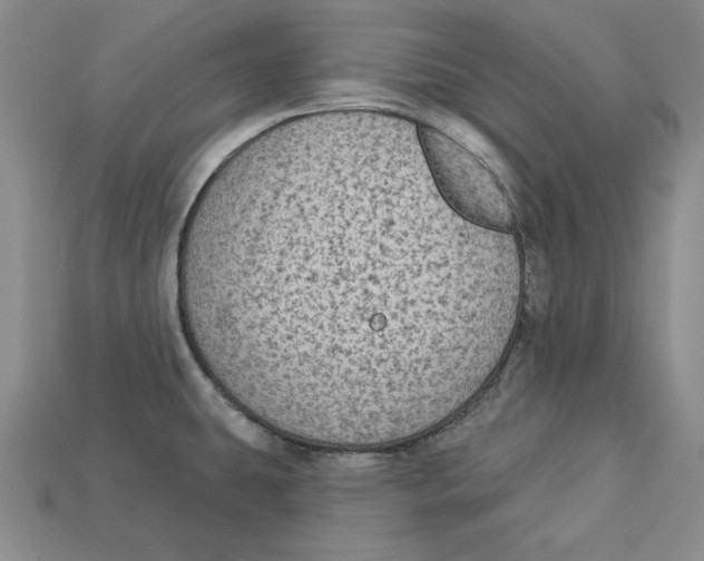 X0000113021431200909241626